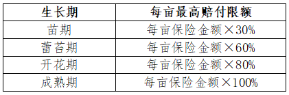 03755dc783a514f36b7cf029a86e629.png 03755dc783a514f36b7cf029a86e629.png